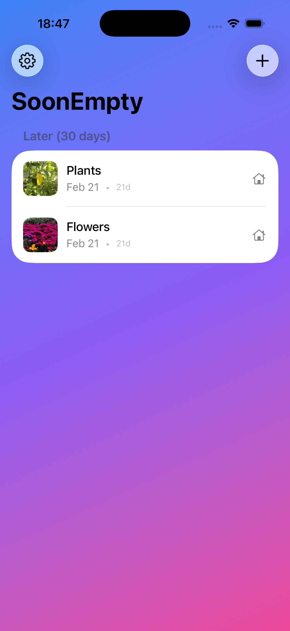 SoonEmpty main view showing items organized by urgency